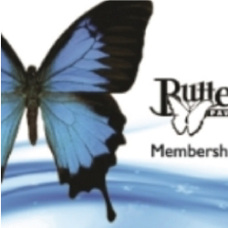 Butterfly Gift Cards
